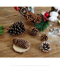 Macro shot of natural pine cones with dried oranges and berries for Christmas decor