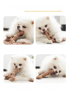 Detail view of a white Pomeranian chewing on a brown textured rubber dental pet toy