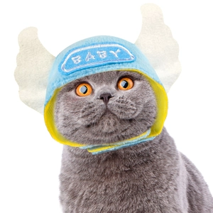 Close-up of blue and yellow pet hat with white wings and Baby embroidery on a cat
