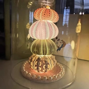 Macro shot of colorful sea urchin shells stacked in a glass dome with soft warm lighting