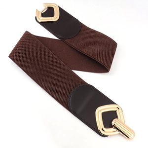 Détail d'une ceinture élastique avec texture tissée marron foncé et boucle en métal doré