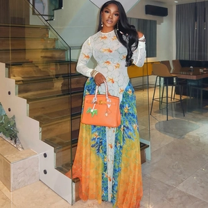 Women Long Sleeve Goldfish Print Mesh Patchwork Maxi Dress Round Neck Slim Fit Casual Streetwear Fashion