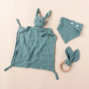 Close-up of baby pacifier set including cotton bunny cloth and wooden teething ring