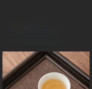 Macro shot of thin heat-resistant white ceramic teacup with golden tea liquid