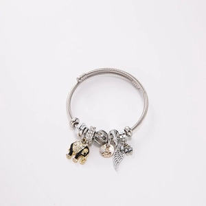 Silver stainless steel wire bracelet with enamel elephant, feather and number 5 charms