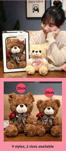 Detail of 20cm and 25cm Teddy Bears with red rose and I Love You t-shirt in gift bag