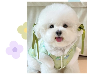 Bordado detallado en chaleco para mascotas verde claro estilo chino con motivos de mariposas