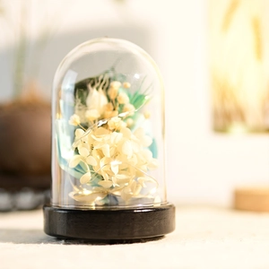 Close-up of preserved white flowers in plastic dome with warm LED string lights