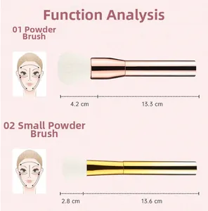 Detail view of powder brushes with rose gold metallic handles and size measurements
