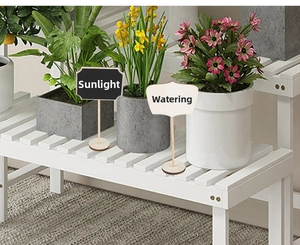 Mini wooden blackboard signs inserted in plants for home garden decor and labels