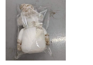 Détail d'un bonhomme de neige en peluche dans son sac en plastique montrant son emballage