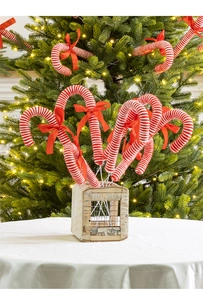 Detail of red and white striped Christmas candy cane picks with red bows in a festive box