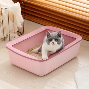 Pink open-top cat litter box with high splash guard featuring a British Shorthair kitten