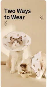 Collar de recuperación ajustable e impermeable con oso para gatos tras cirugía