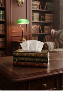 Detailansicht der hölzernen Taschentuchbox im Buchdesign mit goldenen Mustern im Büro