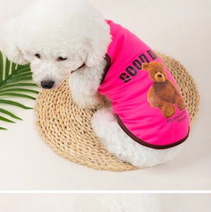 Close-up of pink breathable mesh dog vest with teddy bear print on a white poodle