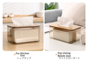 Nordic minimalist tissue box detail showing wooden lid and translucent body in living room