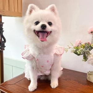 Close-up of pink heart print pet dress with ruffled edges on a white Pomeranian