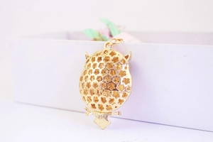 Detailed close-up of a golden hollow owl pendant inside a white gift box