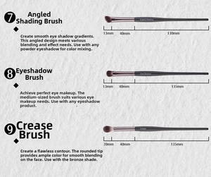 Detail of eyeshadow and blending brushes with precise size dimensions and fiber bristles
