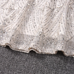 Gros plan de paillettes argentées sur mesh avec broderie élégante au bord ondulé
