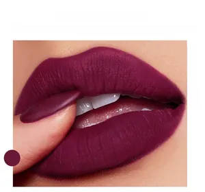 Gros plan d'un rouge à lèvres mat prune foncé avec une texture veloutée lisse