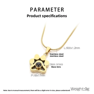 Détails du collier de projection patte de chat en acier doré sur fond blanc pur
