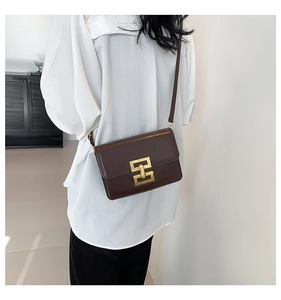 Detailed view of dark brown crossbody bag with elegant gold square metal lock