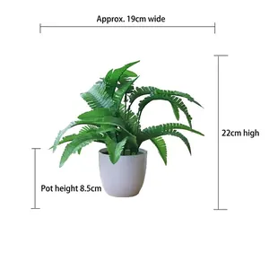 Detailed dimensions of artificial Boston fern plant in pot showing 22cm height and 19cm width