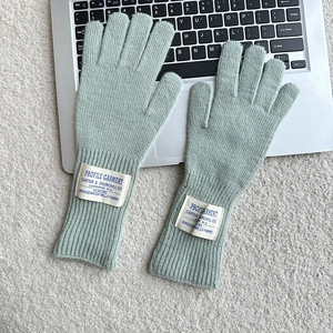 Detail shot of light blue knitted wool glove with beige fabric label on a laptop