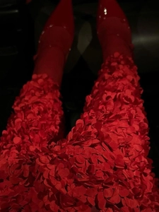 Macro detail of red 3D petal decorations on elegant long skirt with matching heels