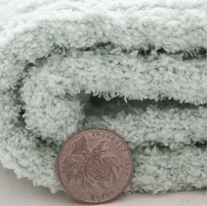 Close-up of thick light green coral fleece fabric texture with coin for scale