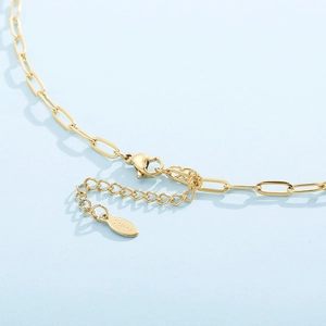 Détail du collier en acier titane doré avec fermoir mousqueton et chaîne trombone réglable