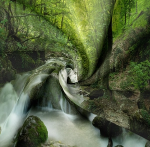 Detailed close-up showing soft fabric texture and nature forest waterfall print