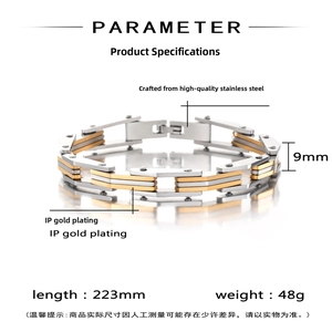Parametri dettagliati che mostrano la larghezza di 9mm e la lunghezza di 223mm del bracciale