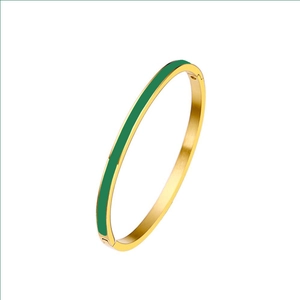 Detail of minimalist 3mm gold titanium steel bangle with dark green enamel inlay