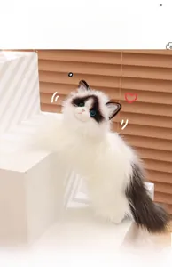 Close-up of realistic Ragdoll cat plush toy with blue eyes on white stairs