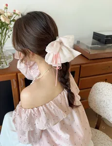 Detail of light pink chiffon bow hair claw with long ribbons on braided hairstyle