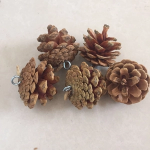 Macro view of five natural brown pine cones with silver metal ring loops for decor