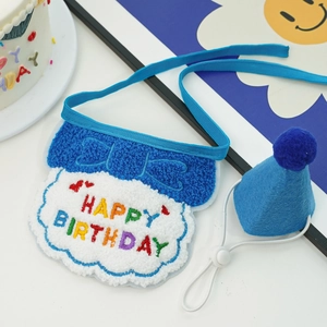 Close-up of blue pet birthday bib with embroidery and matching felt party hat with cake props