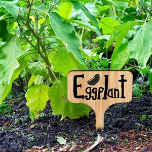 T-shaped wooden garden label featuring Eggplant engraving used in a plant pot