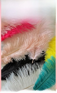 Macro detail of soft colorful ostrich feathers for DIY floral bouquets and decor