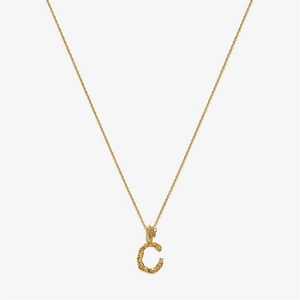 Detailed view of golden letter C pendant with hammered texture and tiny white crystals
