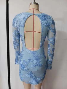 Detail of light blue dress showing 3D floral embroidery and backless cutout with pearl button