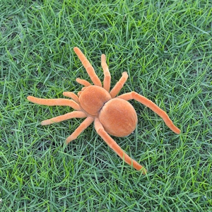 Detailed view of an orange flocked sensory spider cat toy on a natural green grass background