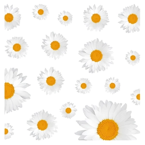 Weiße Gänseblümchen Fensteraufkleber mit gelber Mitte für frische Sommer Glasdekoration