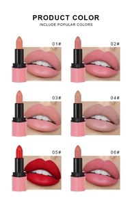 Lipstick set showing six matte velvet shades with swatches and pink tube design