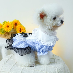 Robe pour chien à carreaux bleus et blancs avec dentelle et nœud pour petits chiens