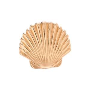 Elegant gold shell-shaped ear cuff with textured radial stripes on a minimalist metal base