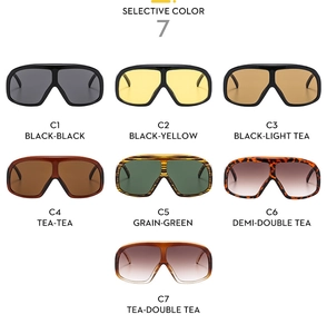 Detail display of large frame retro sunglasses in 7 color variants from C1 to C7